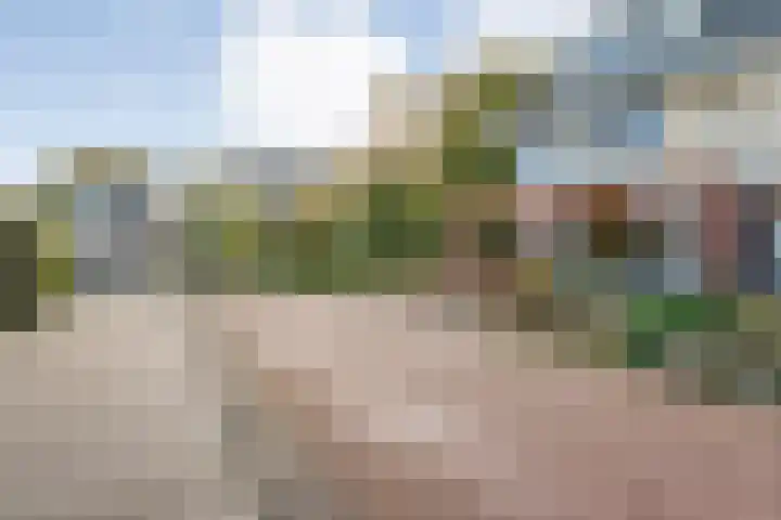 Houthaven 9 Steenwijk thumbnail 36