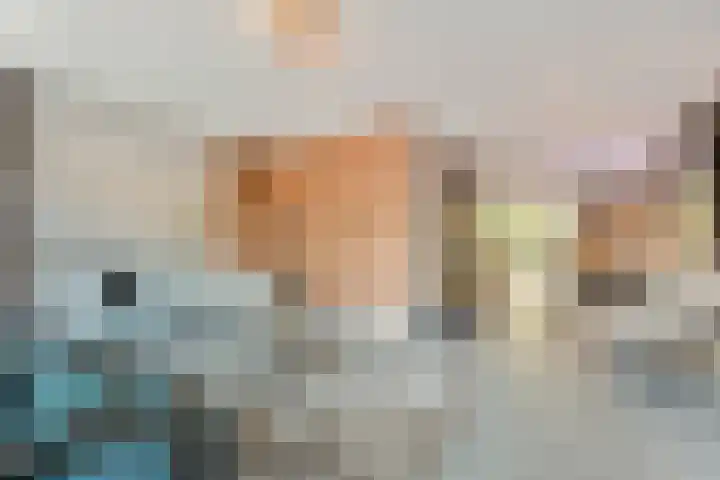 Houthaven 9 Steenwijk thumbnail 4