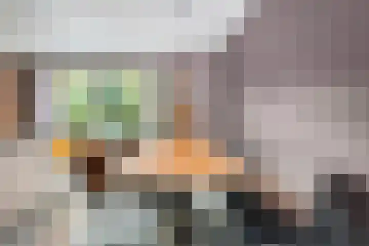Houthaven 9 Steenwijk thumbnail 7