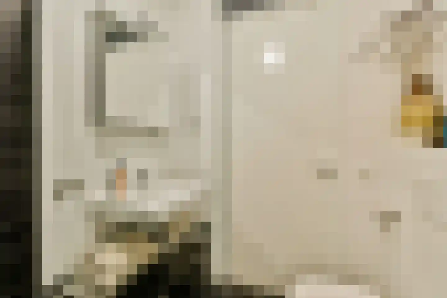 Houthavenkade 128 Amsterdam thumbnail 19