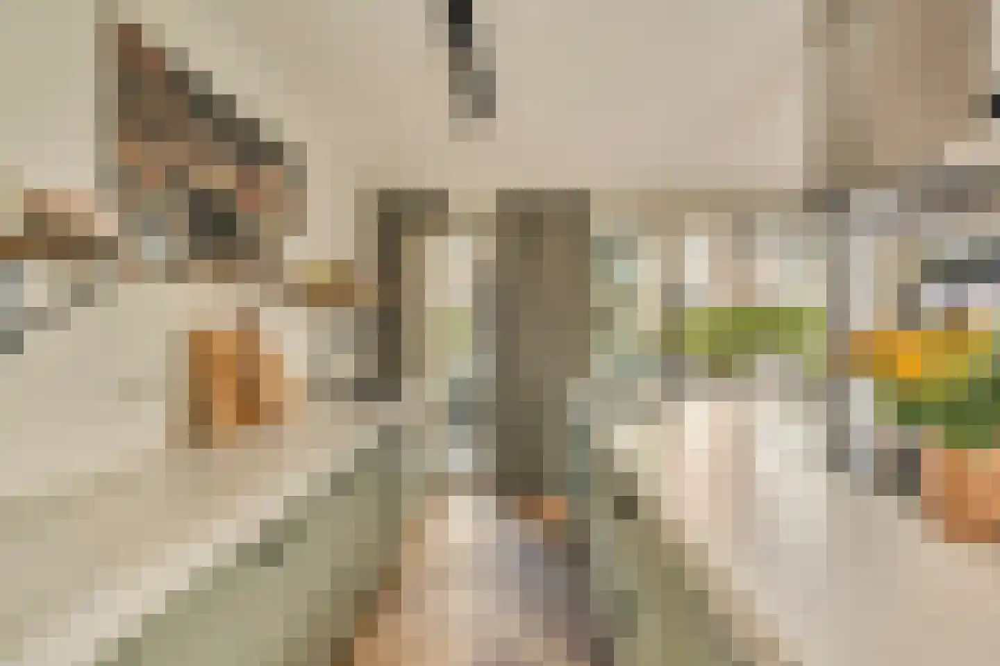 Houthavenkade 148 Amsterdam thumbnail 24
