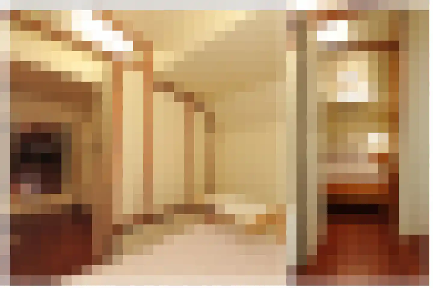Houthavenkade 19 ROOD Zaandam thumbnail 30