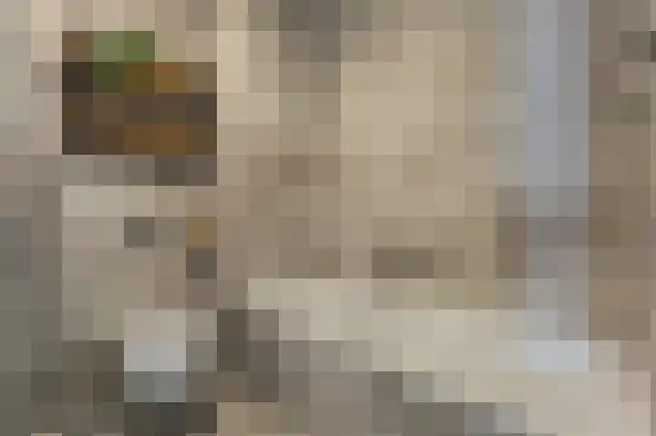 Houthavenkade 26 Amsterdam thumbnail 27
