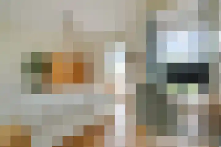 Houthavenkade 38 Amsterdam thumbnail 18