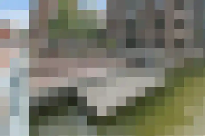 Houthavenkade 38 Amsterdam thumbnail 31