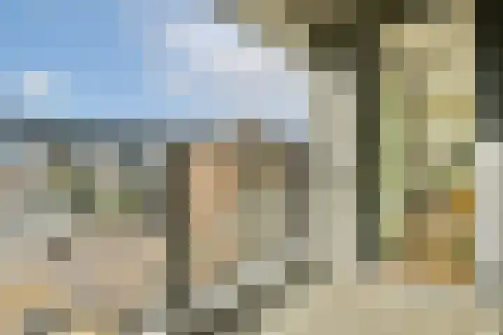 Houthavenkade 42 Amsterdam thumbnail 11