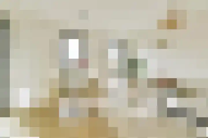 Houthavenkade 42 Amsterdam thumbnail 6