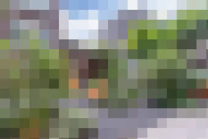 Houthavenkade 45 Amsterdam thumbnail 25
