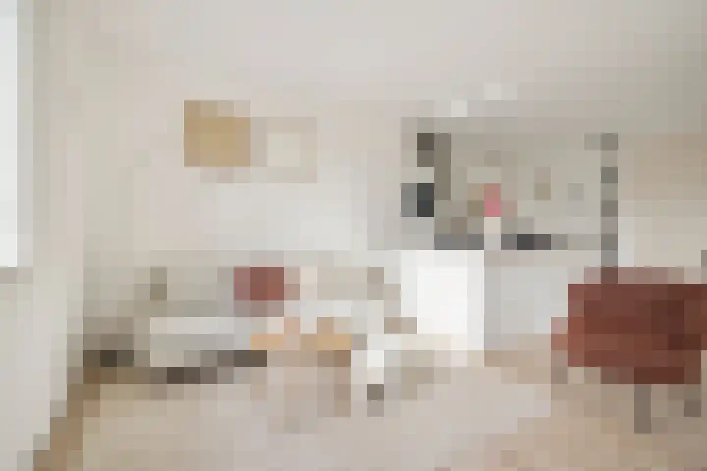 Houthavenkade 46 Amsterdam thumbnail 10