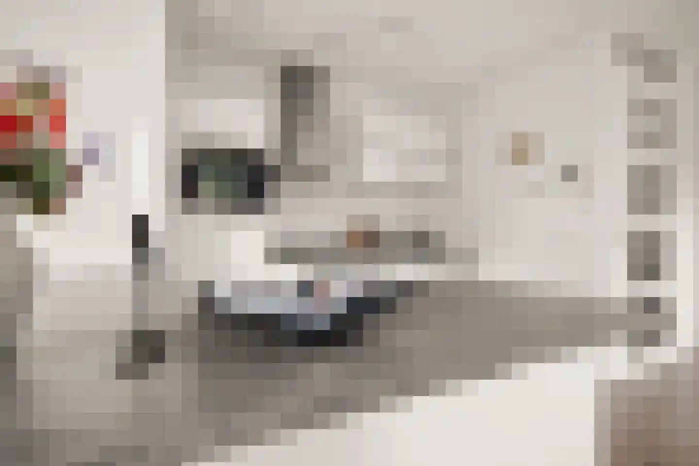 Houthavenkade 46 Amsterdam thumbnail 17