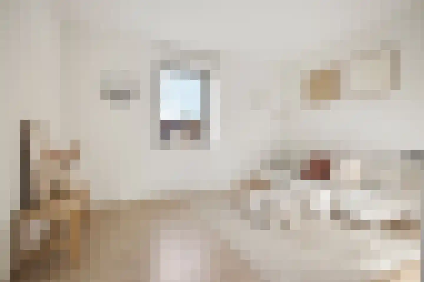 Houthavenkade 46 Amsterdam thumbnail 9