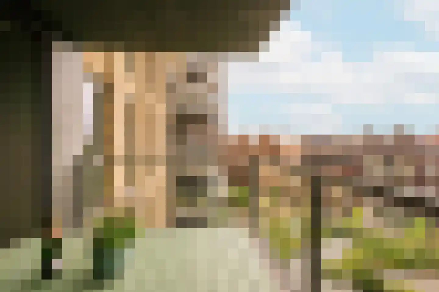 Houthavenkade 62 Amsterdam thumbnail 14