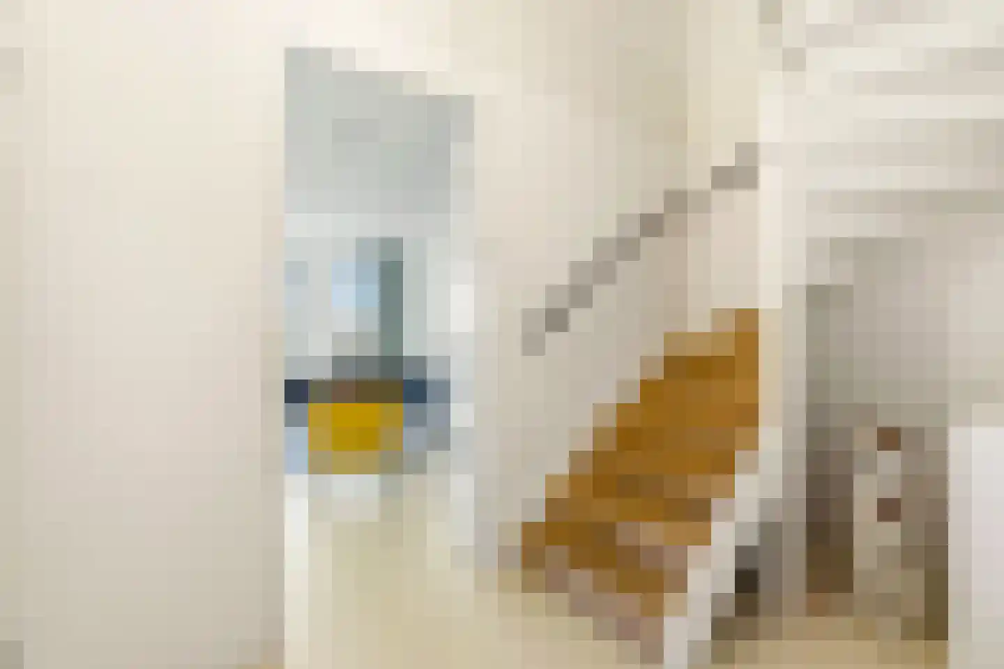 Houthavenkade 64 Amsterdam thumbnail 21