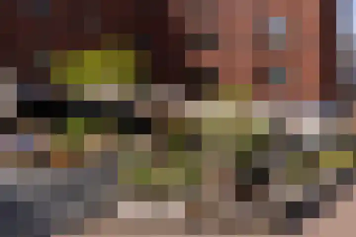 Houthavenkade 64 Amsterdam thumbnail 28