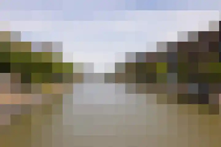 Houthavenkade 64 Amsterdam thumbnail 29
