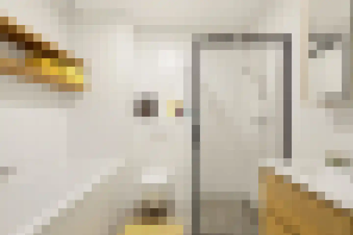 Houthavenkade 64 Amsterdam thumbnail 31