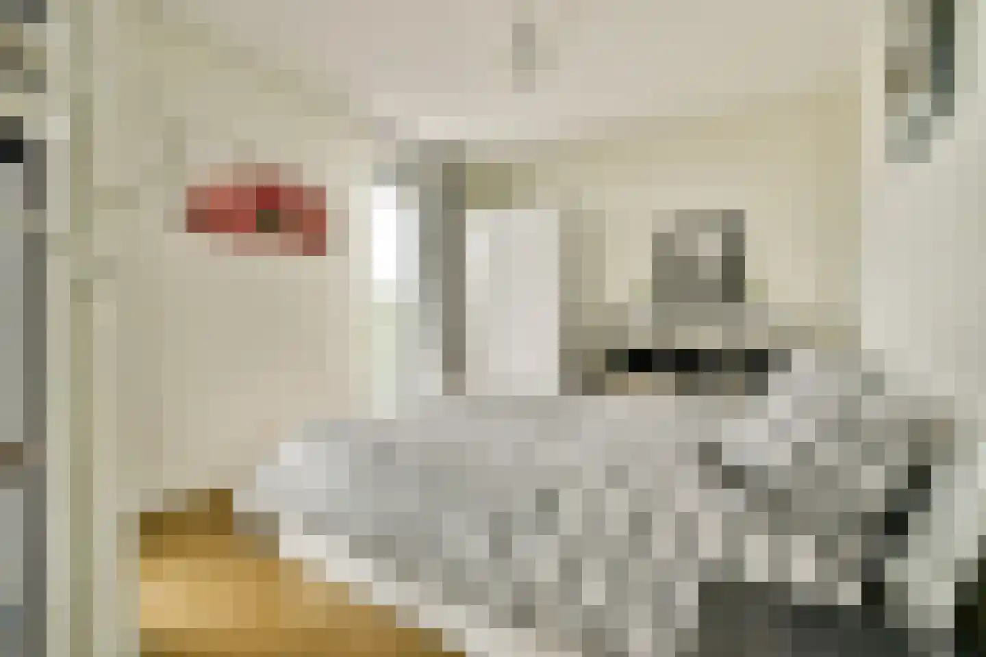 Houthavenkade 76 Amsterdam thumbnail 15