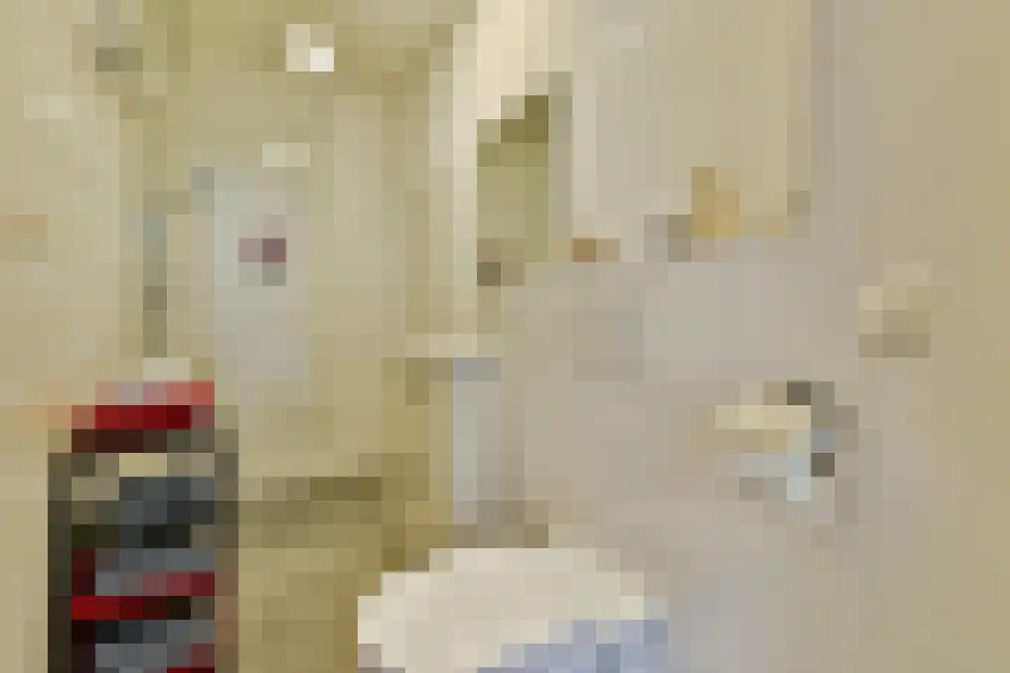 Houthavenkade 76 Amsterdam thumbnail 16