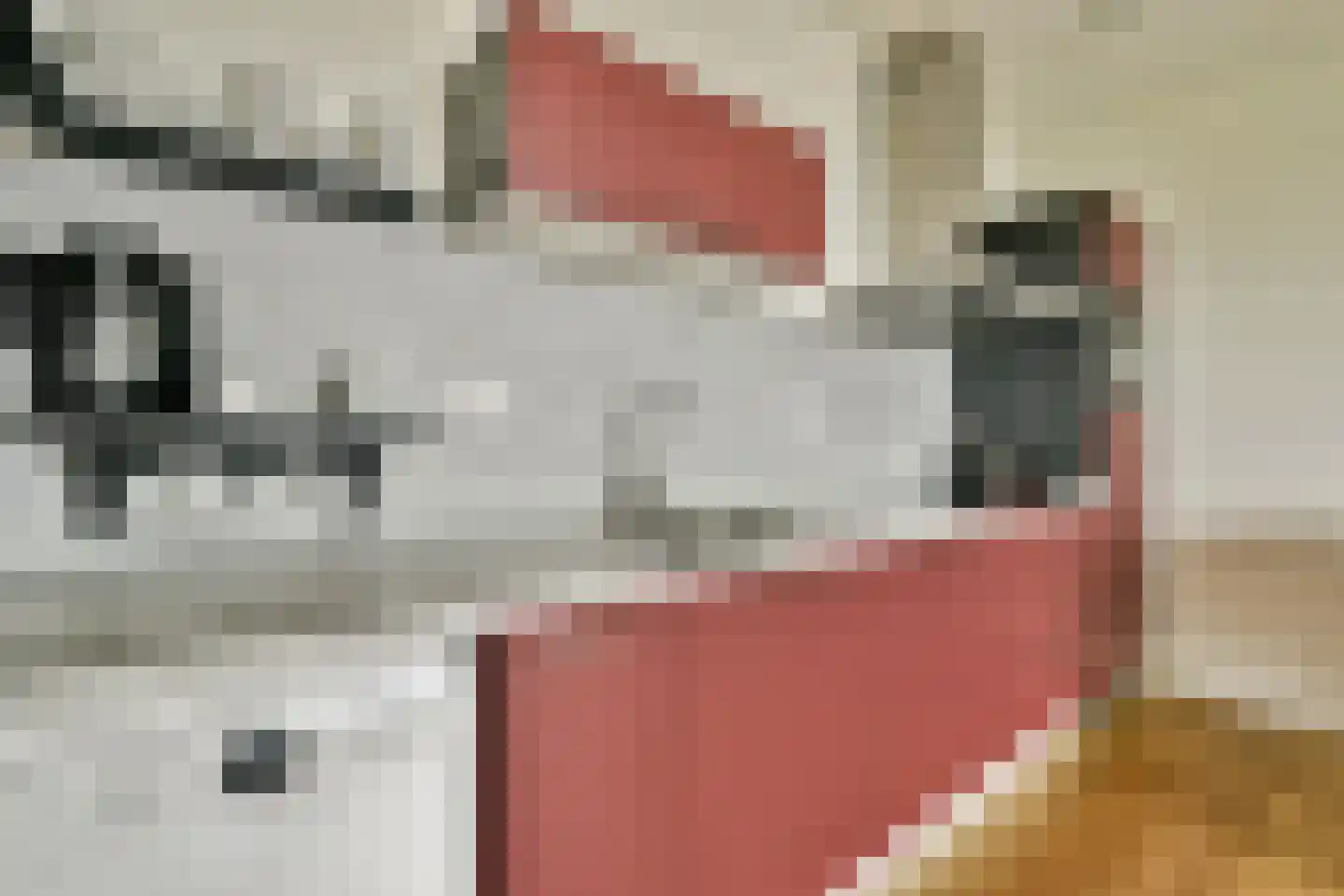 Houthavenkade 76 Amsterdam thumbnail 8