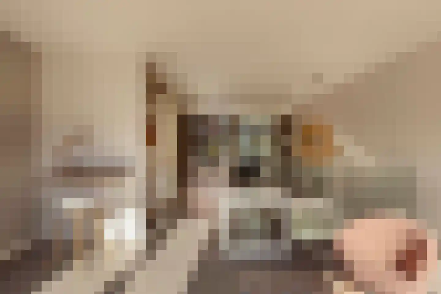 Houthavenkade 9 Amsterdam thumbnail 14