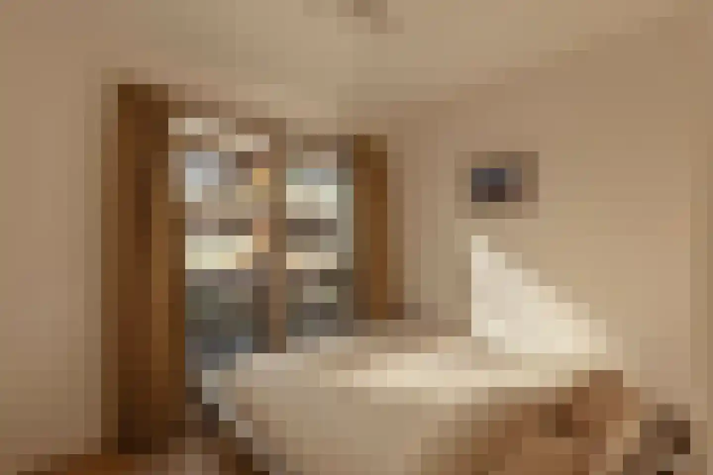 Houthavenkade 9 Amsterdam thumbnail 24