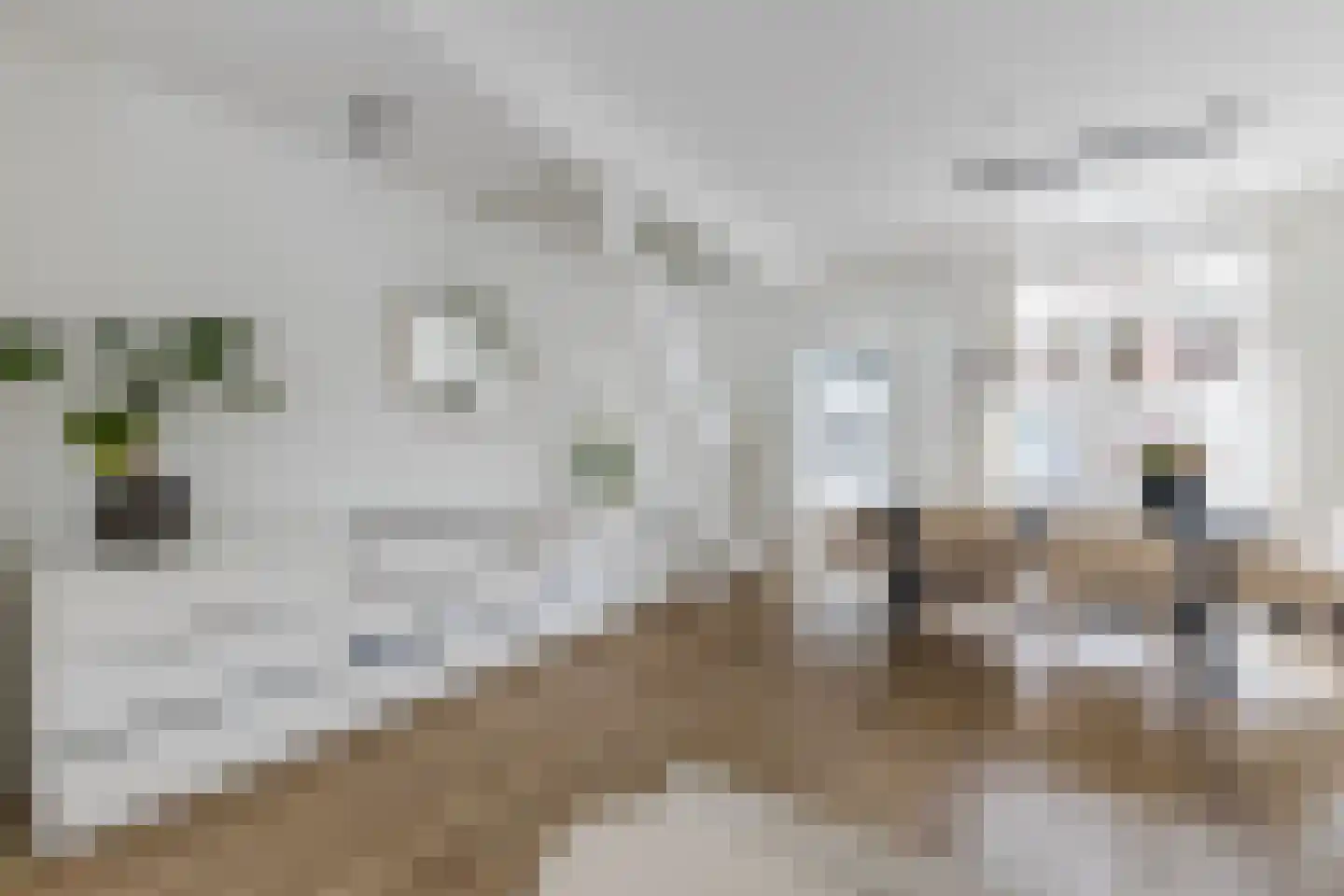Houthavenstraat 18 Alkmaar thumbnail 10