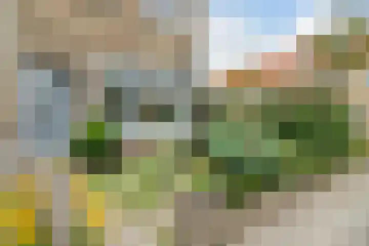 Houthavenstraat 45 Alkmaar thumbnail 5