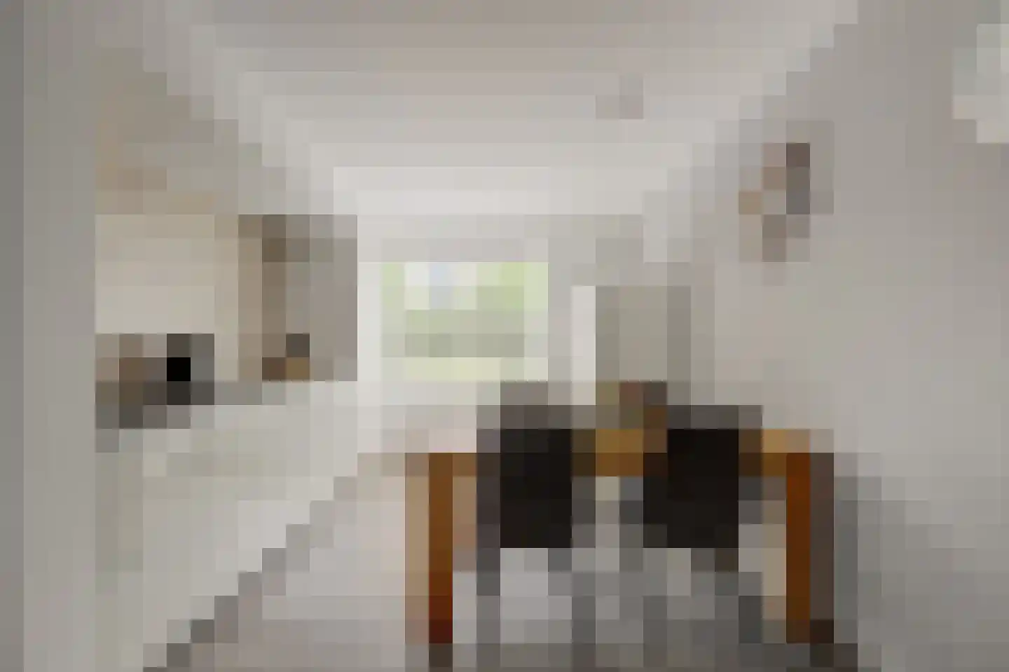 Houthavenweg 11 Oosterhout thumbnail 15