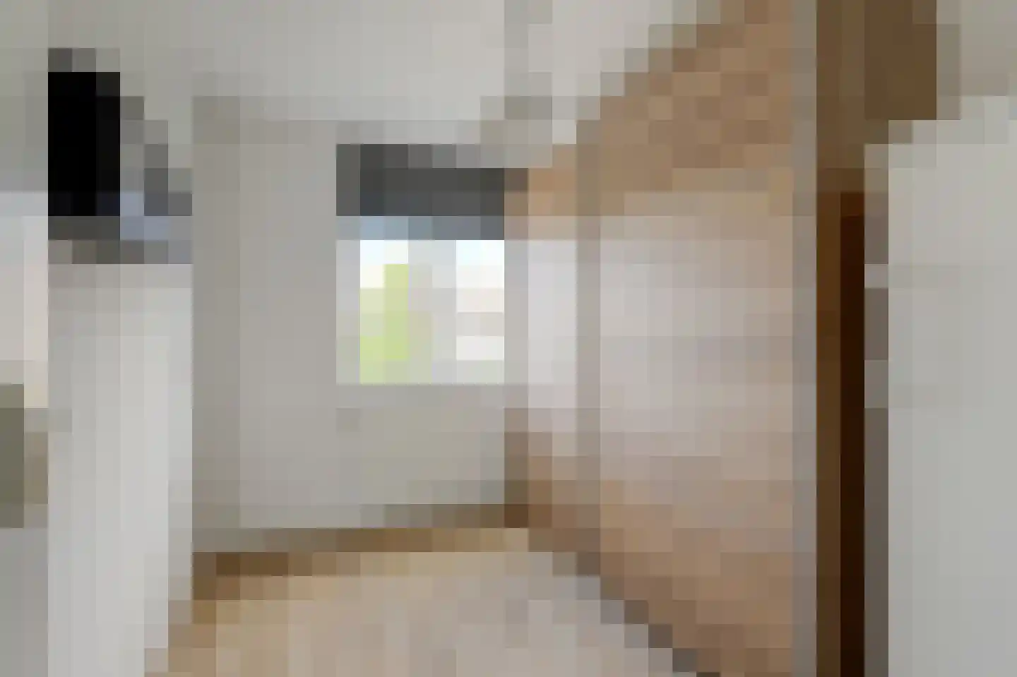 Houthavenweg 11 Oosterhout thumbnail 32