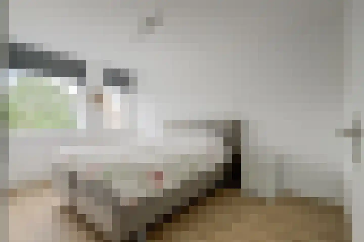 Houthavenweg 11 Oosterhout thumbnail 4
