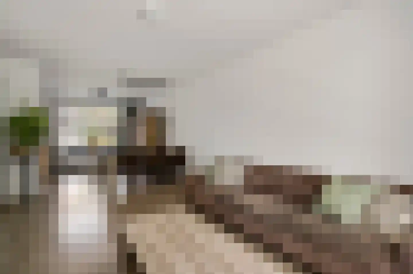 Houthemerweg 12 Heel thumbnail 13