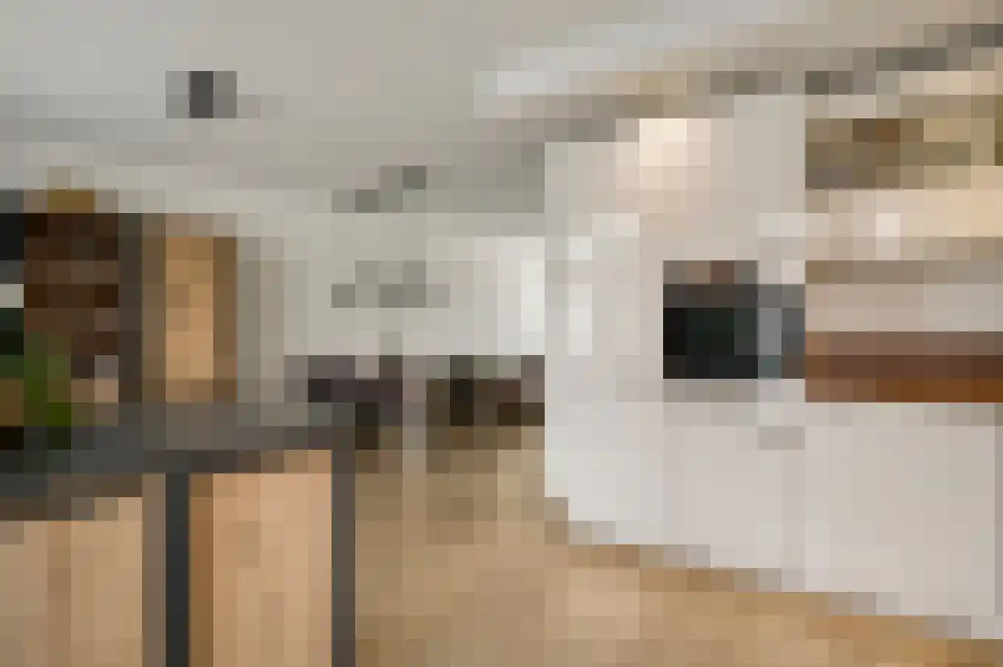 Houthemerweg 12 Heel thumbnail 19