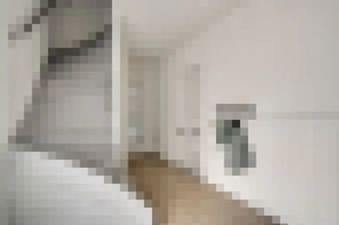 Houthemerweg 12 Heel thumbnail 5