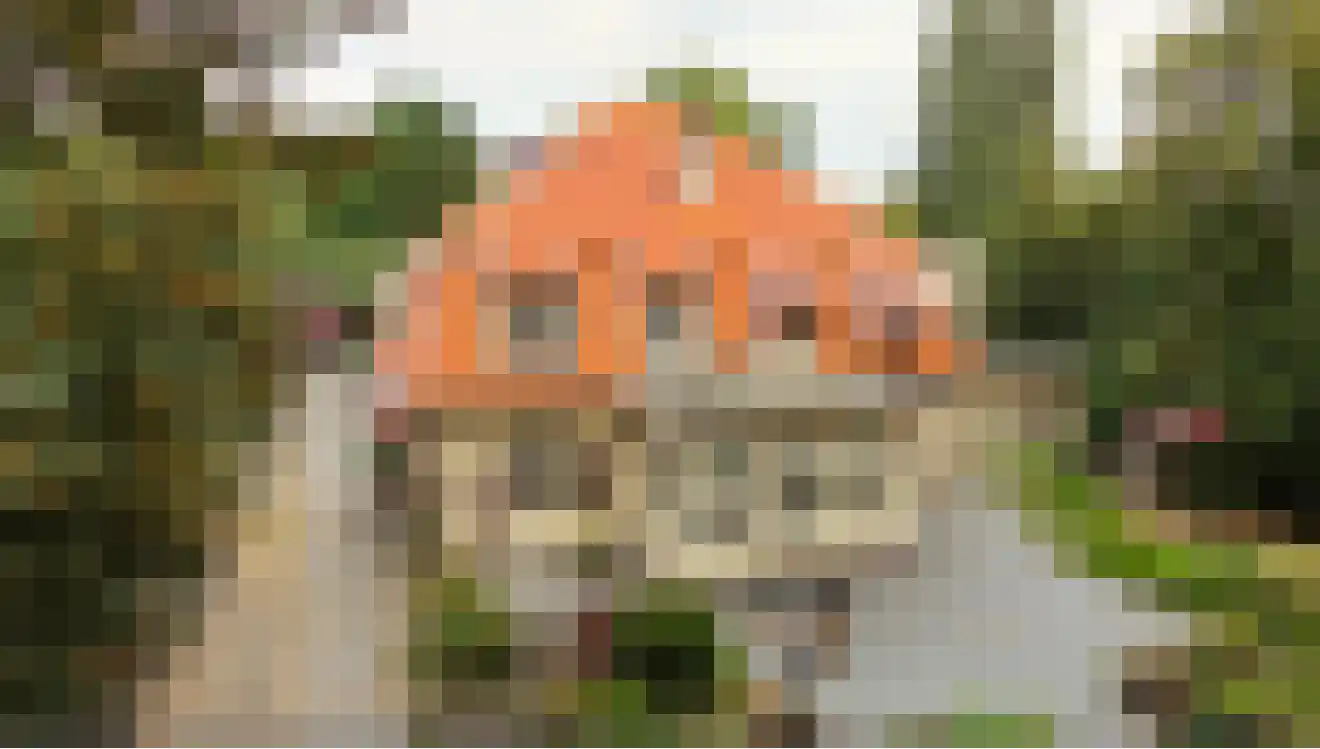 Houthemerweg 23 Meerssen thumbnail 4