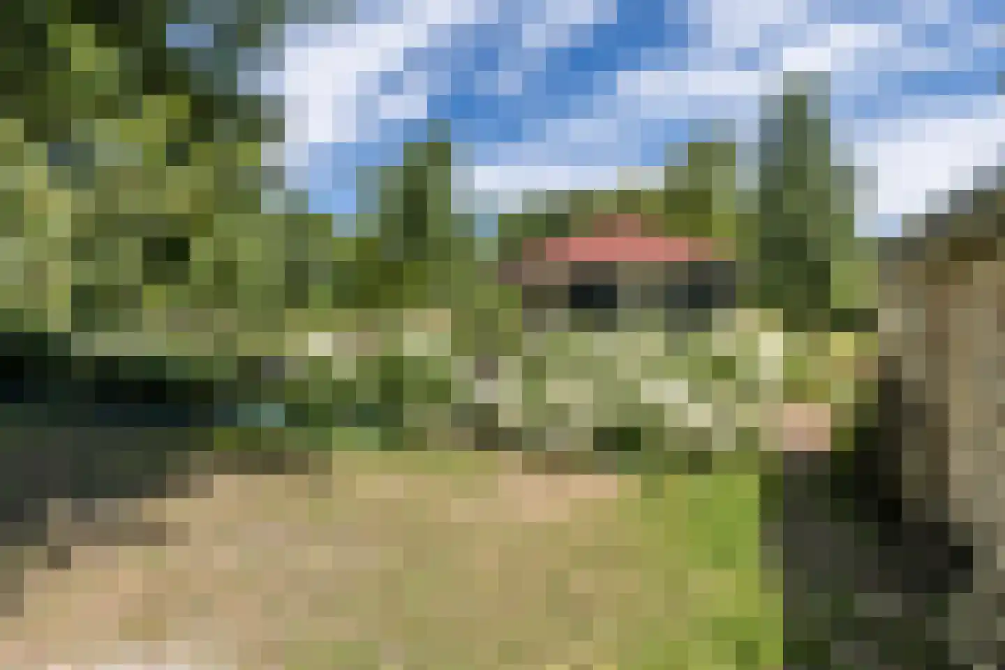 Houthemerweg 23 Meerssen thumbnail 49