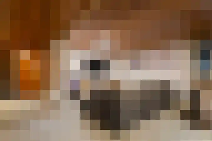 Houthemerweg 33 Meerssen thumbnail 33