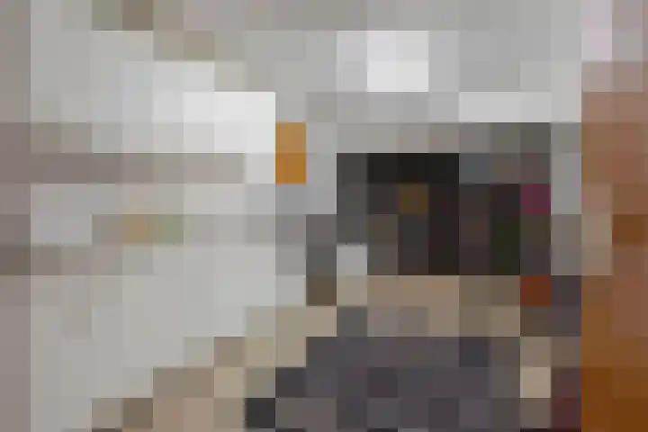 Houthemerweg 33 Meerssen thumbnail 36