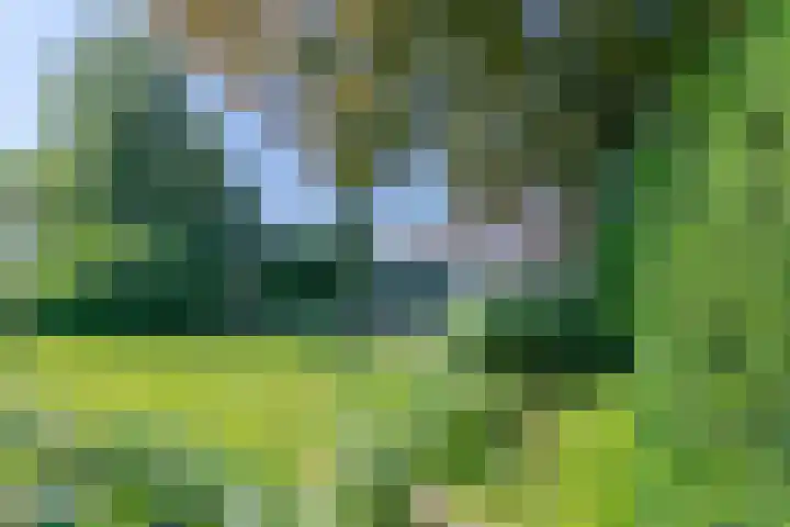 Houthemerweg 33 Meerssen thumbnail 42
