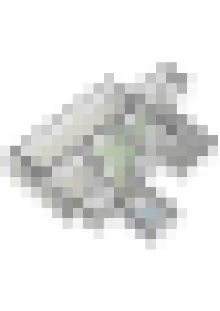 Houthemerweg 33 Meerssen thumbnail 52
