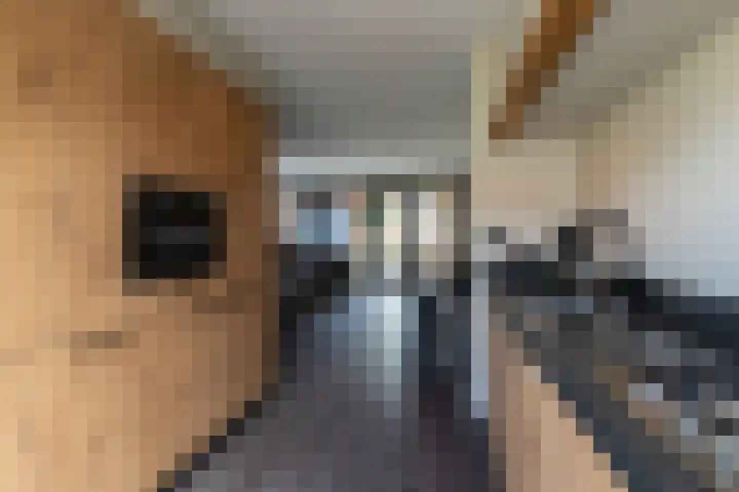 Houthof 12 Streefkerk thumbnail 13