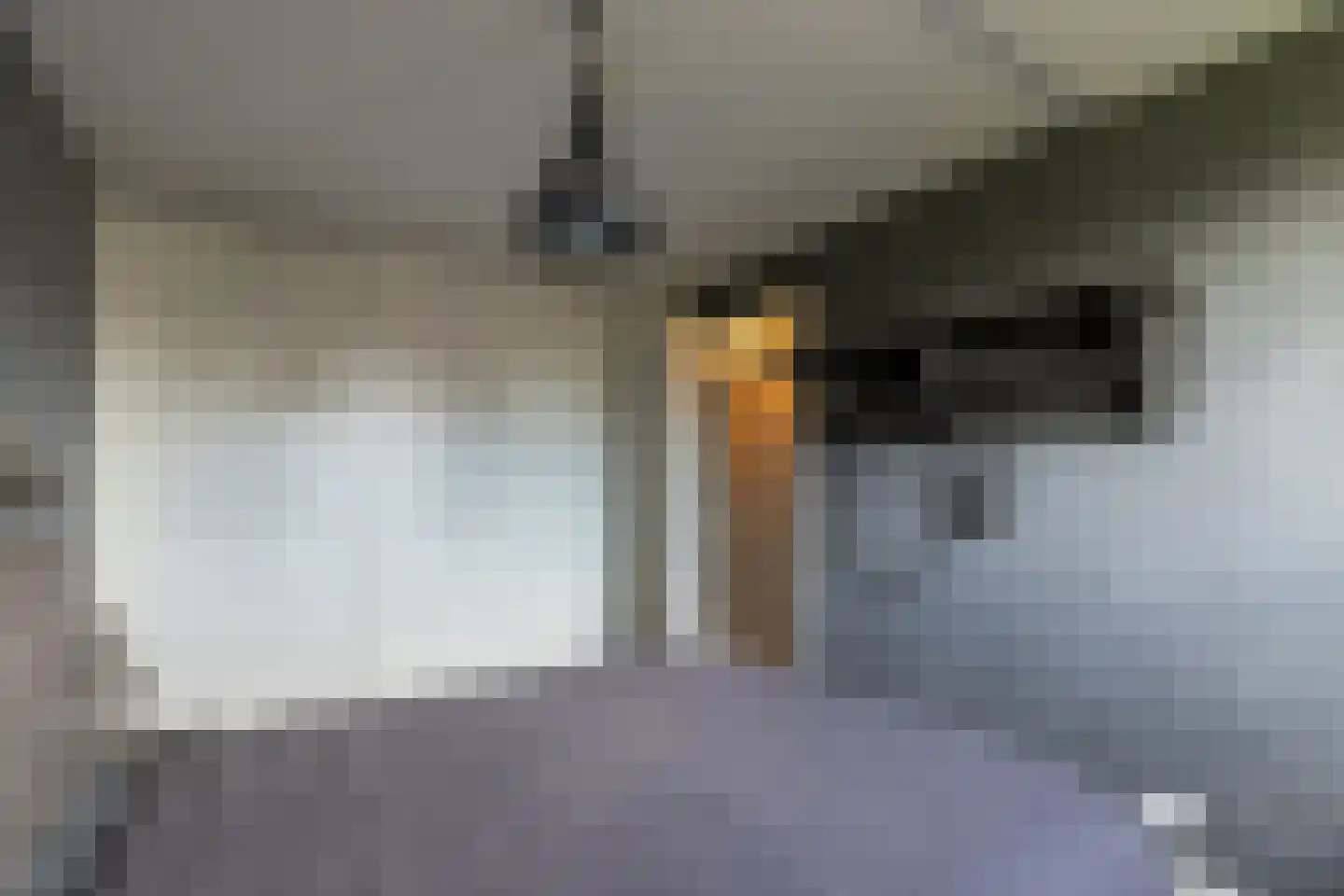 Houthof 12 Streefkerk thumbnail 15