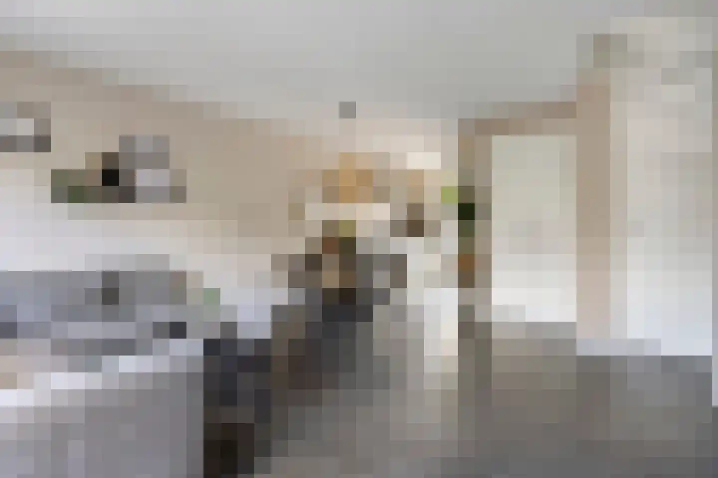 Houthof 24 Streefkerk thumbnail 10