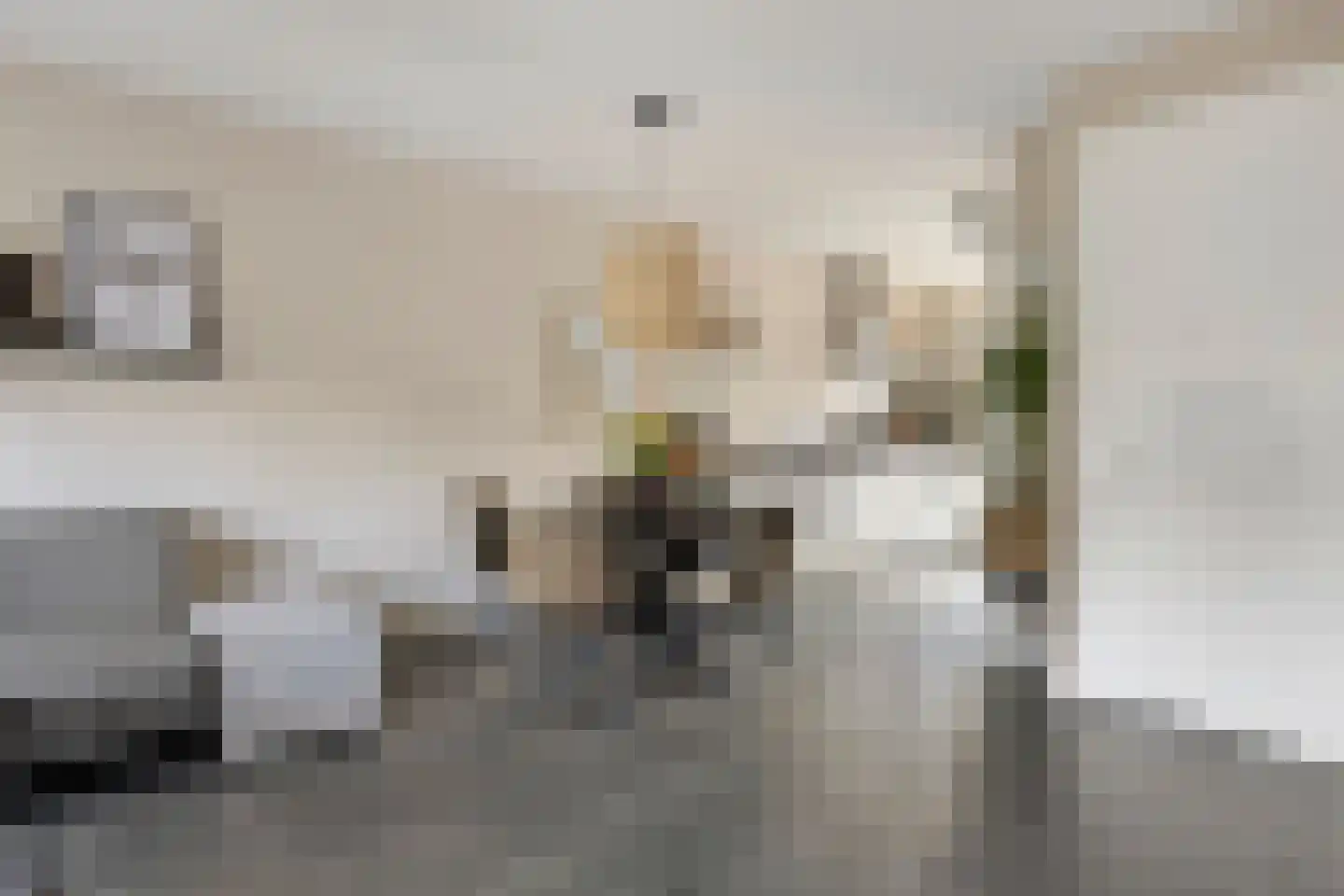 Houthof 24 Streefkerk thumbnail 12