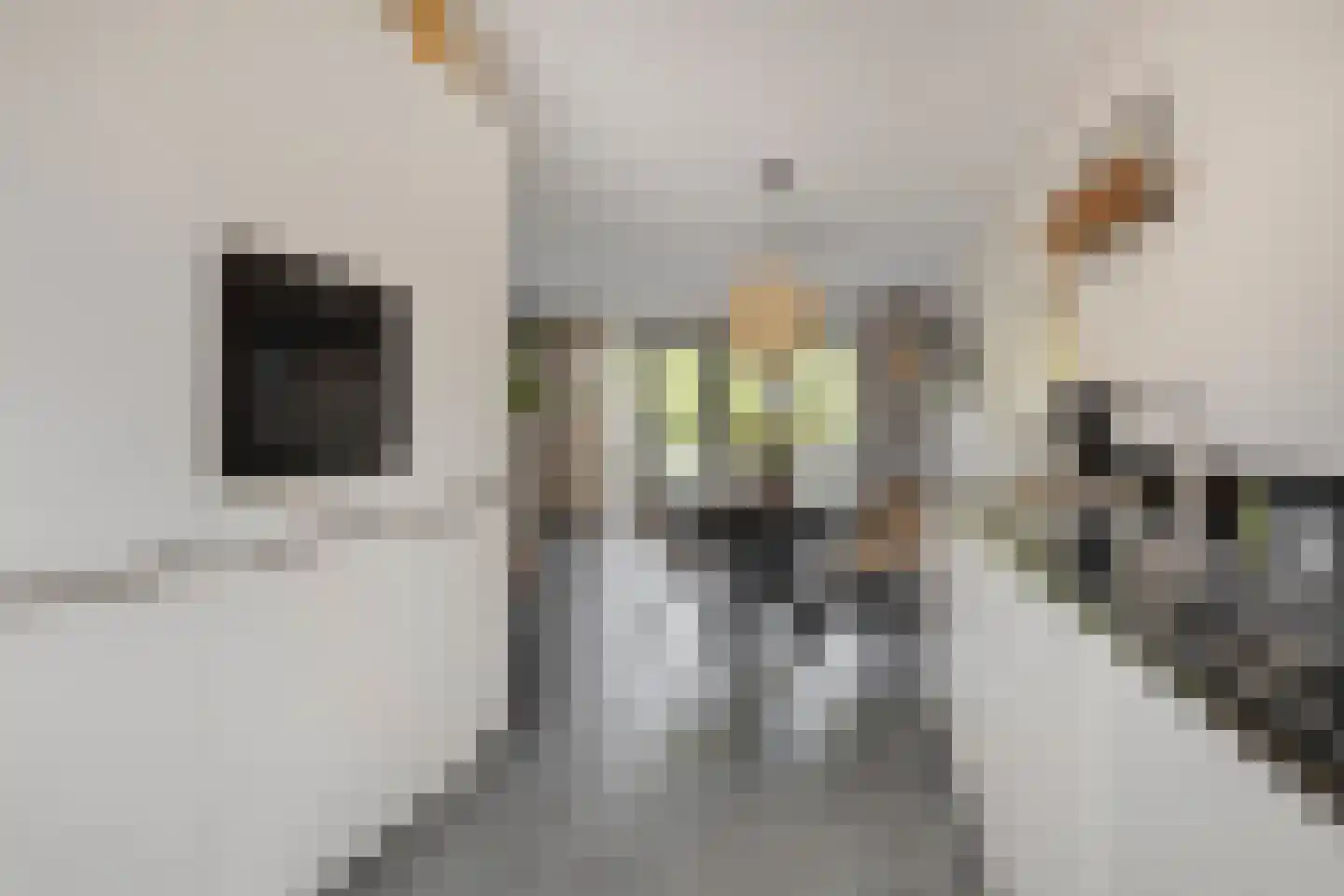 Houthof 24 Streefkerk thumbnail 17