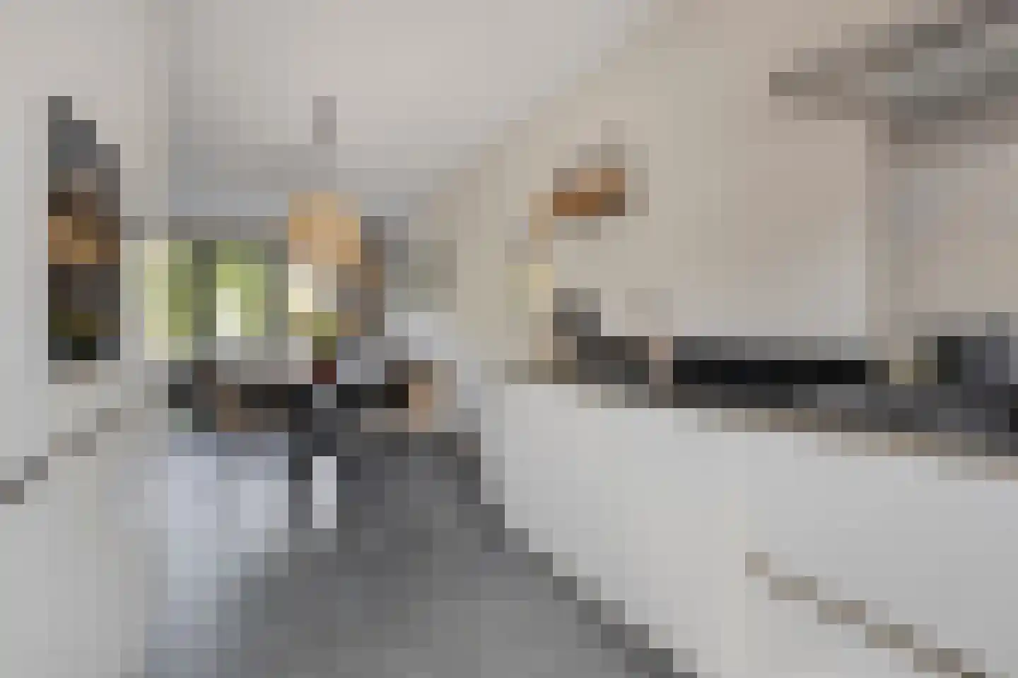 Houthof 24 Streefkerk thumbnail 18