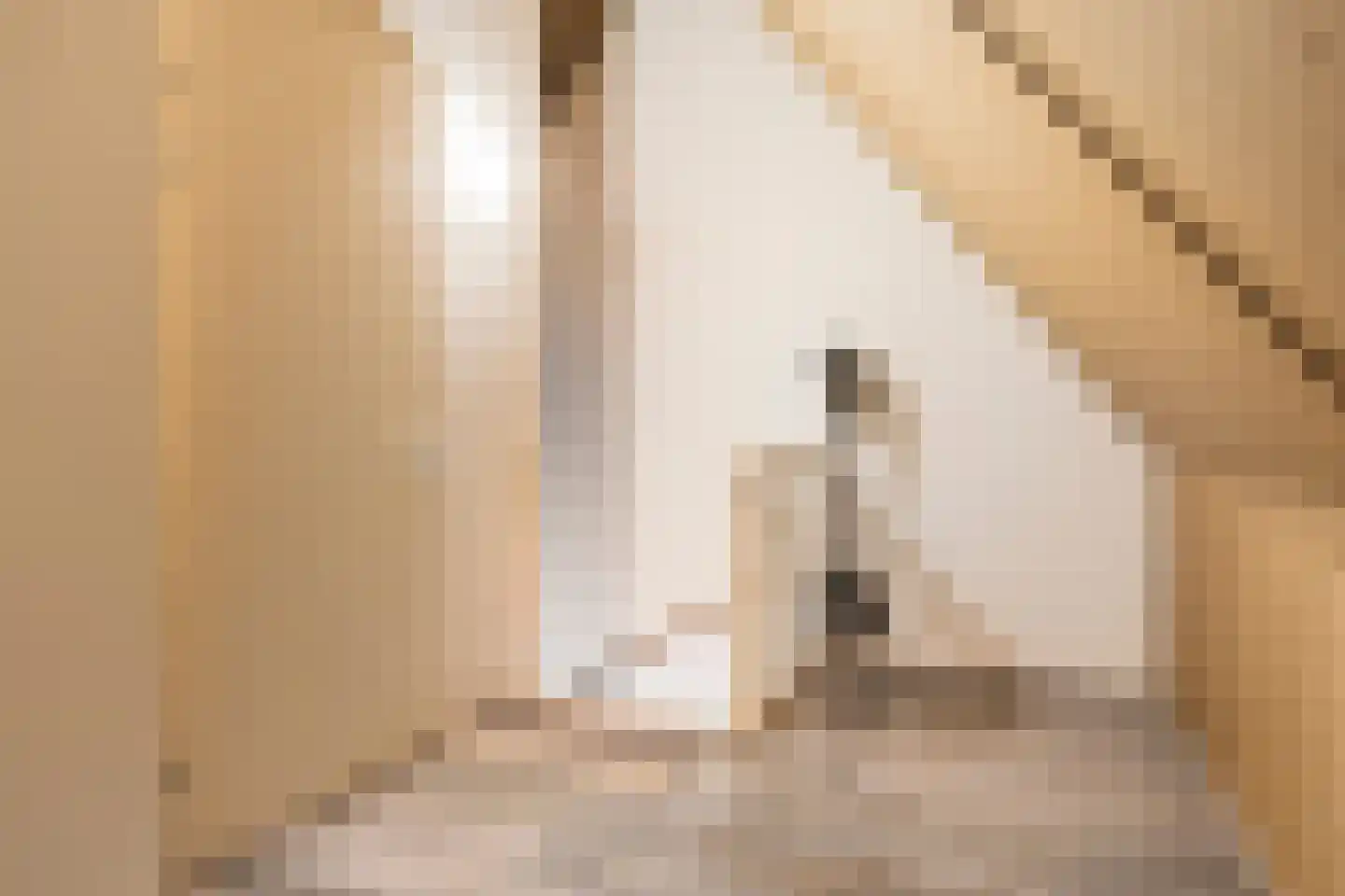 Houthof 24 Streefkerk thumbnail 29