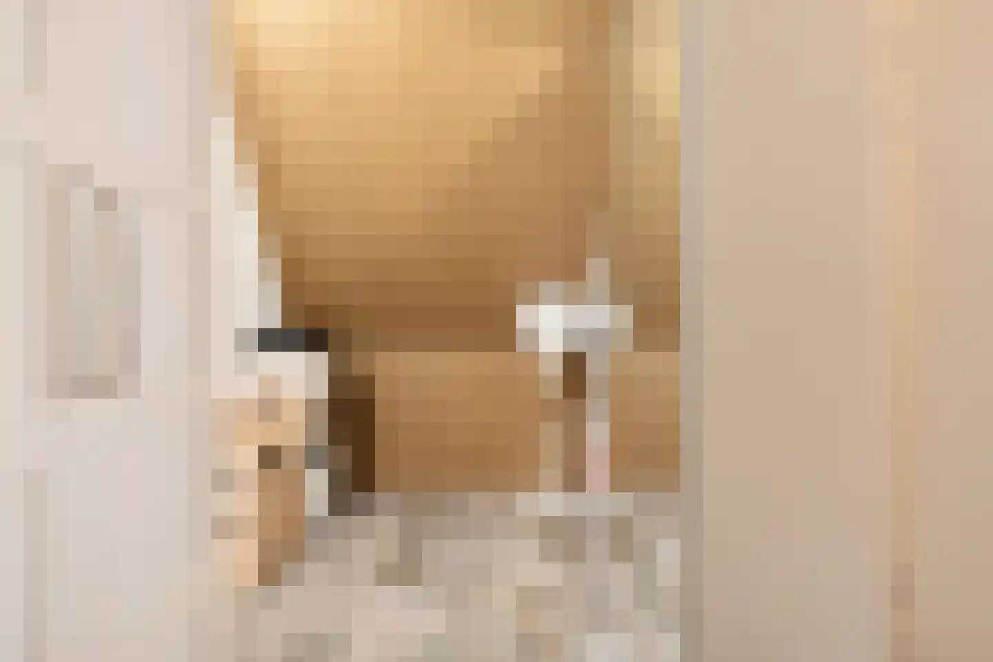 Houthof 24 Streefkerk thumbnail 30