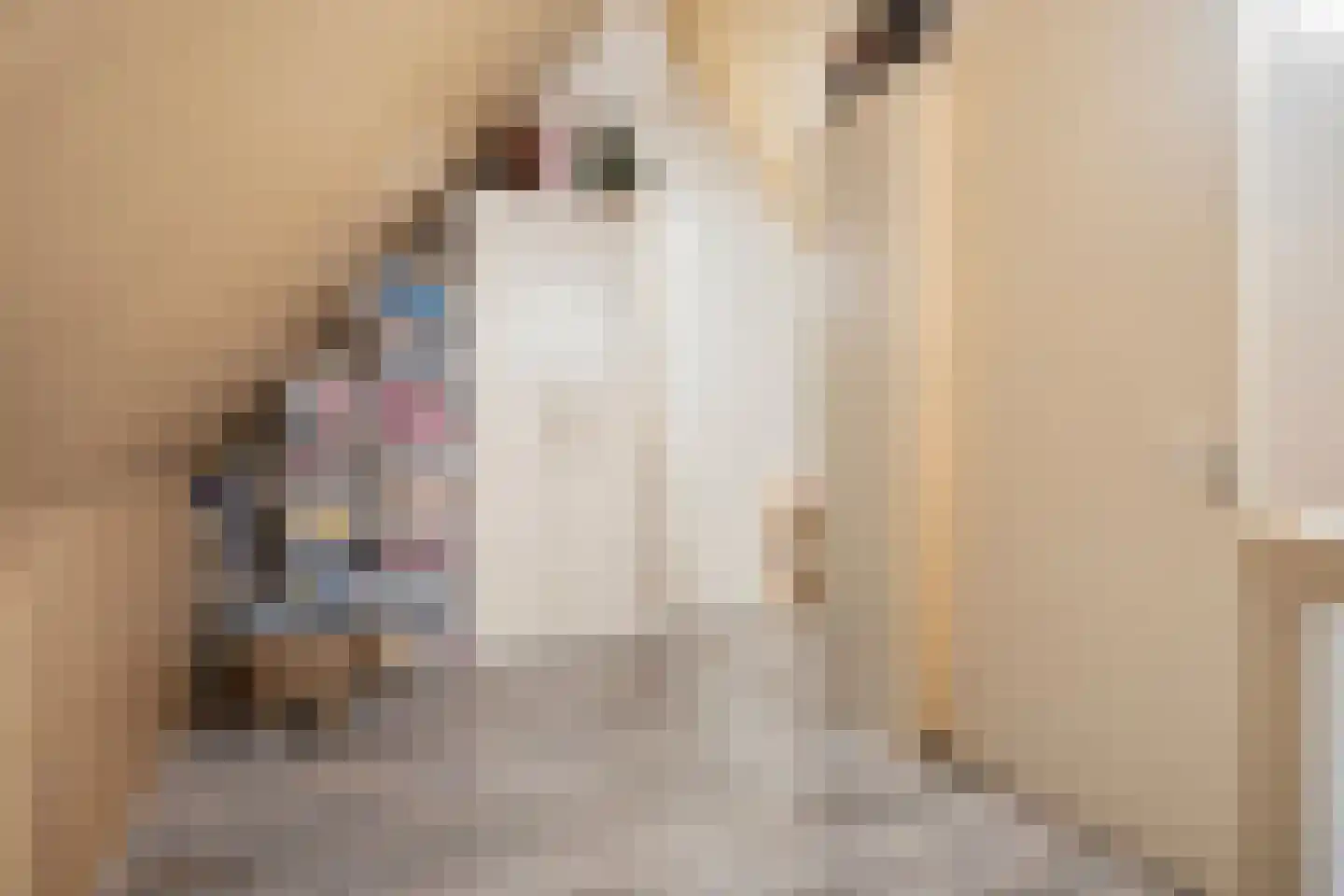 Houthof 24 Streefkerk thumbnail 31