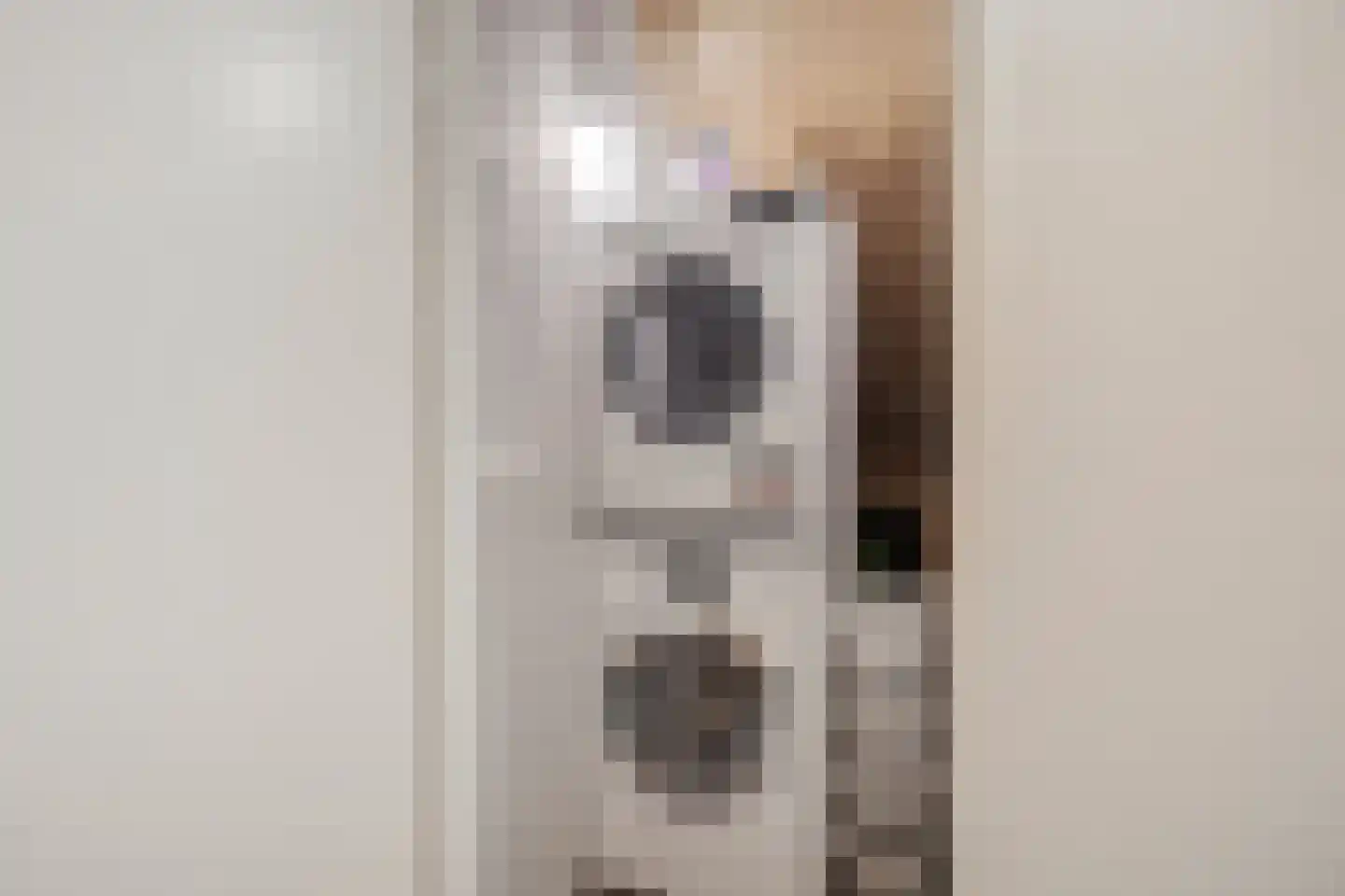 Houthof 24 Streefkerk thumbnail 32
