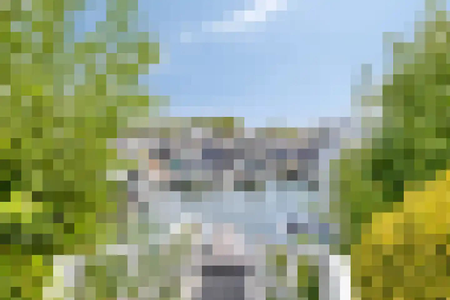 Houthof 24 Streefkerk thumbnail 43